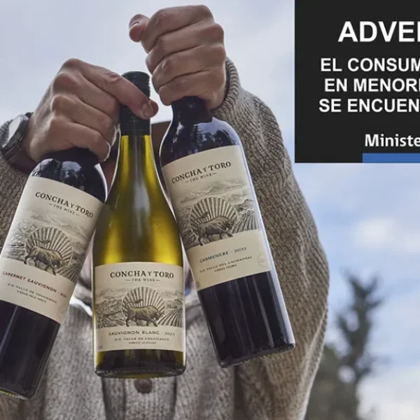 The Wine concha y toro 750cc